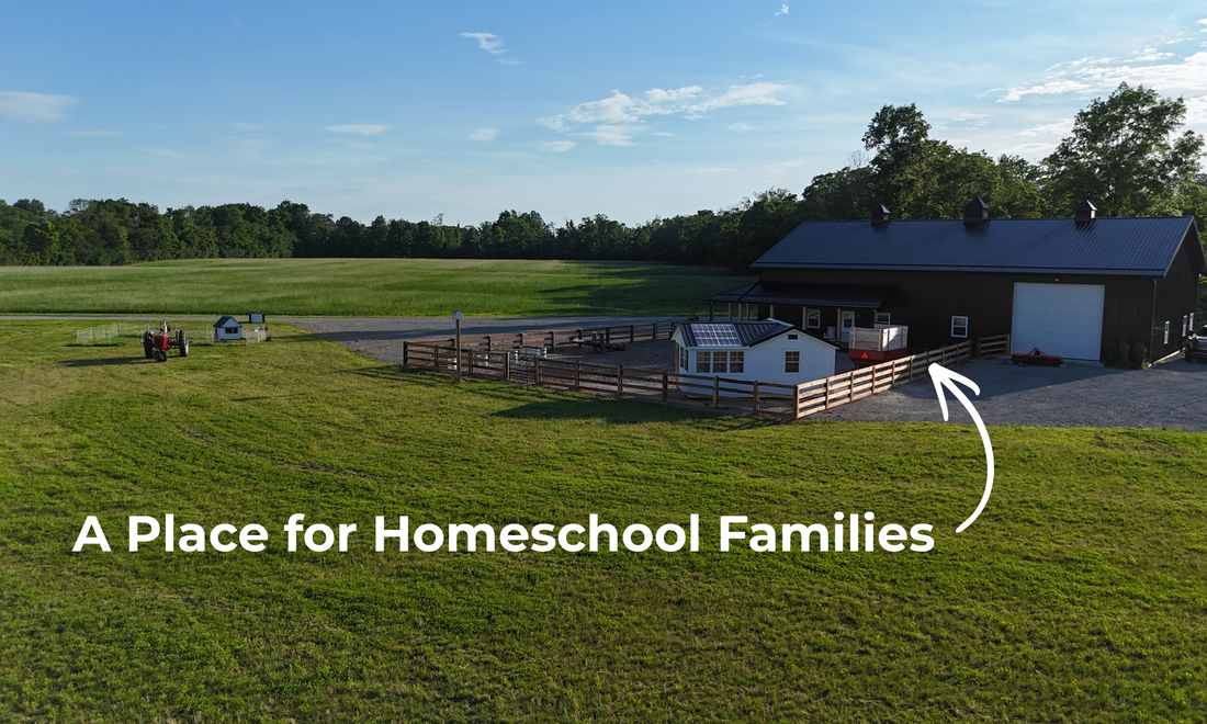 Farm-based microschool near Goshen, Ohio for homeschooling families